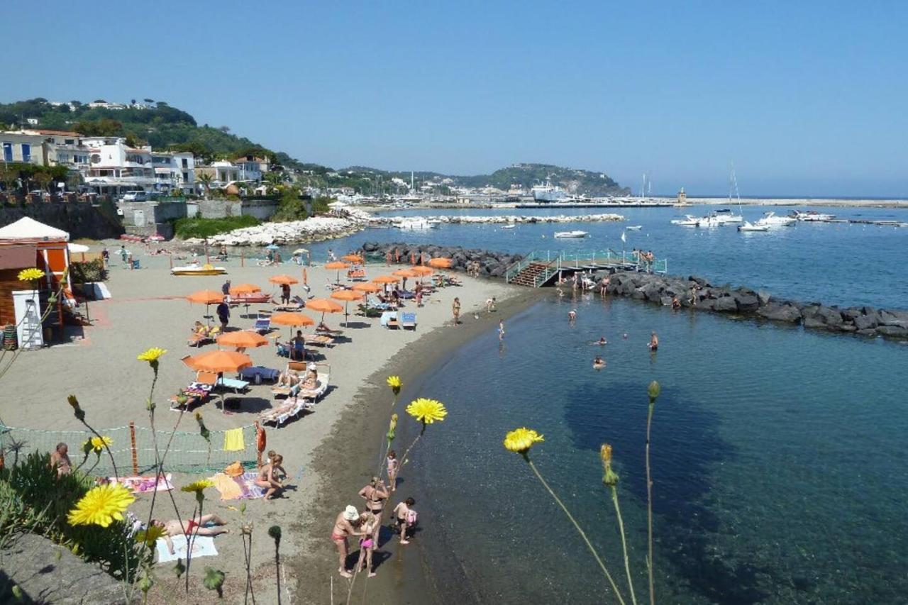 La Terrazza Dell^Ippocampo #Seaview Apartment Иския Екстериор снимка