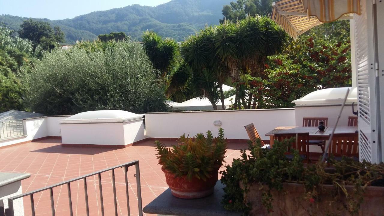 La Terrazza Dell^Ippocampo #Seaview Apartment Иския Екстериор снимка